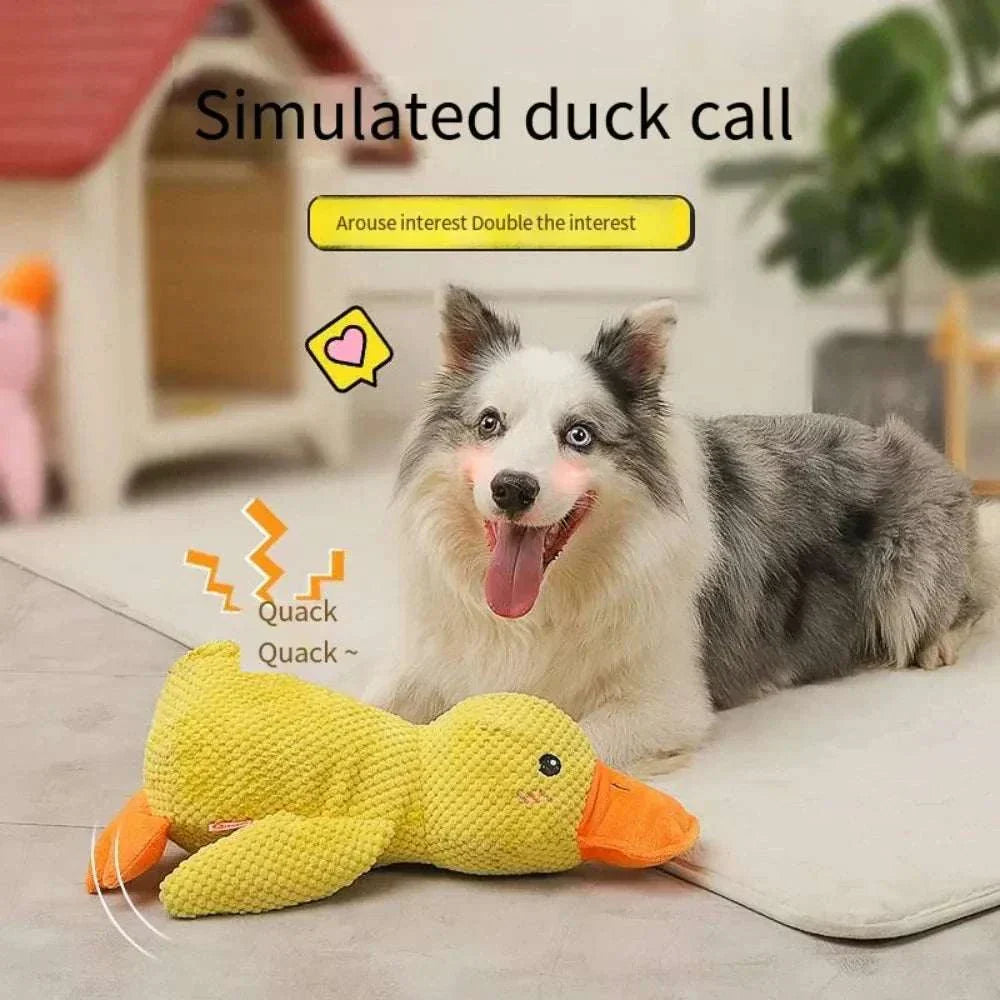 Purradise Duckie Delight